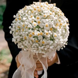 hoa-cuoi-hoa-baby-trang-mix-cuc-tana