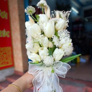 Tulip trắng mix Thúy Châu trắng tinh khôi