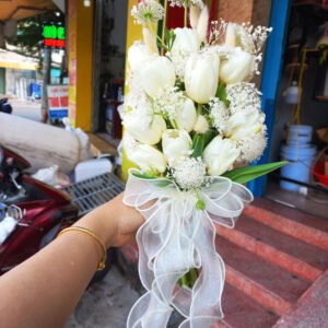 Tulip trắng mix Thúy Châu trắng tinh khôi