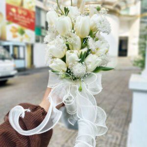 Tulip trắng mix Thúy Châu trắng tinh khôi