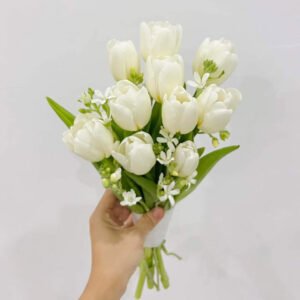 hoa cưới tulip trắng kết hợp cùng hoa Sao Trắng đẹp