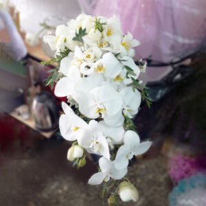 TLT0030 - Hoa cưới dáng suối Lan Hồ Điệp phối hoa Tulip trắng 7 hoa cầm tay cô dâu dáng suối Lan Hồ Điệp Trắng phối cùng hoa Tulip trắng