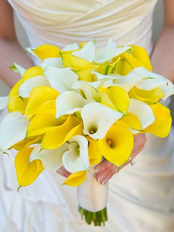 hoa-cam-tay-co-dau-calla-lily-sieuthihoacuoi-com