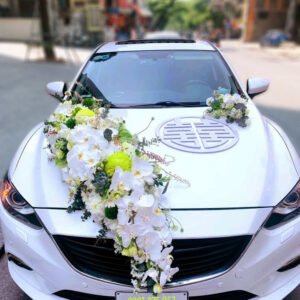 xe-hoa-lan-ho-diep-diem-cuc-mau-don-xanh-la