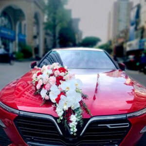 xe-hoa-lan-ho-diep-dong-tien-nhi-hoa-hong-hong-va-phi-yen