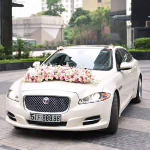 xe-hoa-hong-phan-lan-ho-diep-cat-tuong-phi-yen-va-hoa-baby