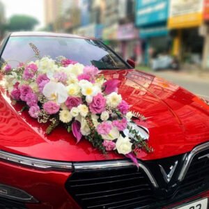 xe-hoa-cuoi-lan-ho-diep-tulip-trang-hong-tim-hue-cat-tuong-baby