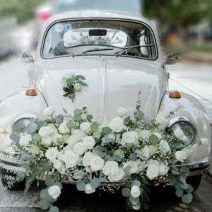 xe-hoa-co-dien-hong-trang-ohara-mix-sen-trang