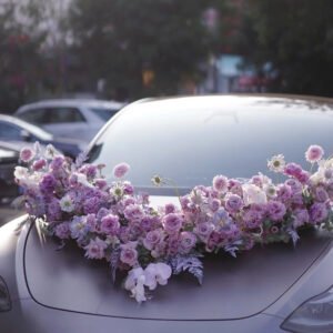 xe-hoa-tone-mau-tim-pastel