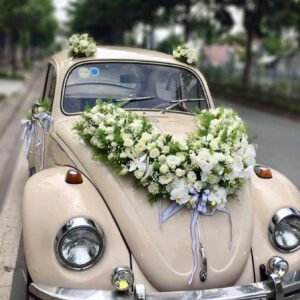 xe-hoa-cuoi-co-lan-ho-diep-mix-lan-tuong