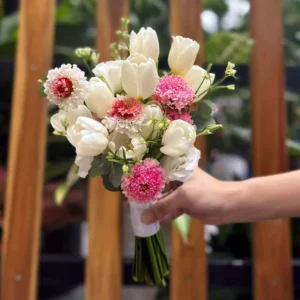 Hoa cưới Tulip trắng kết hợp hoa Scabiosa hồng