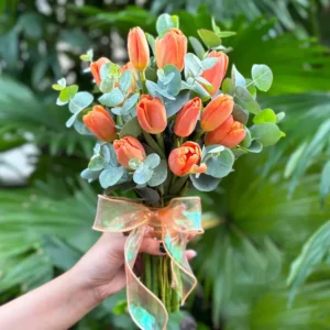 Hoa cô dâu Tulip cam phối lá bạc