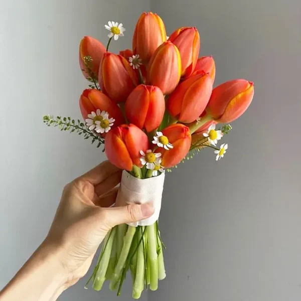 hoa cô dâu Tulip cam kết hợp cúc Tana