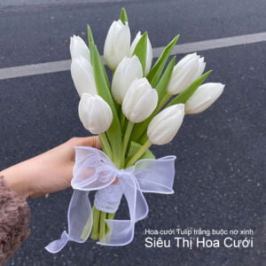 Hoa cưới Tulip trắng buộc nơ xinh giá rẻ