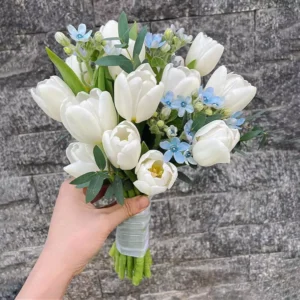 Hoa cưới Tulip trắng phối hoa Sao Xanh