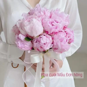 Hoa cưới mẫu đơn hồng