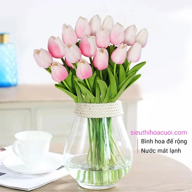 Cách bảo quản HOA CƯỚI TULIP 1 Cách bảo quản hoa cưới Tulip