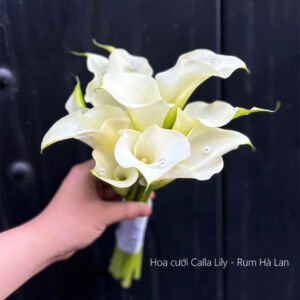 Hoa cưới Calla-Lily đính ngọc