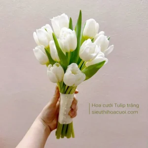 Hoa cưới Tulip thuần khiết