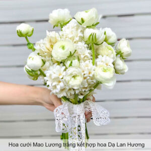 Hoa cưới Mao Lương trắng và Dạ Lan Hương